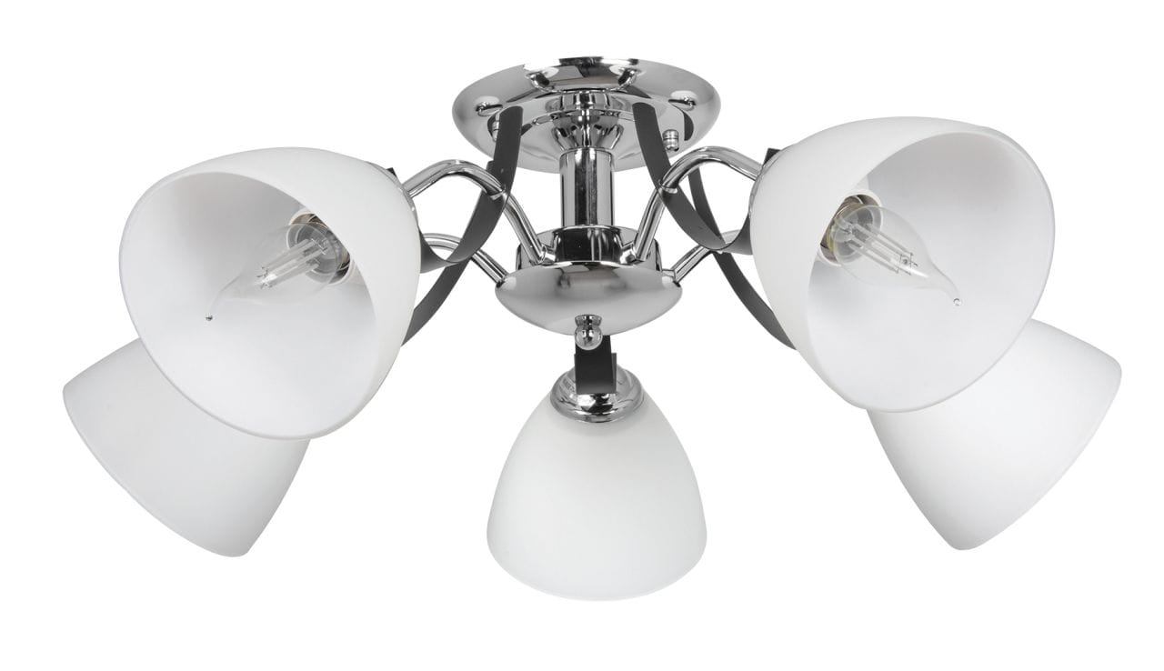W-N 1368-5.jpg